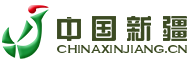 中國新疆網